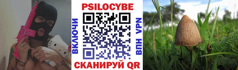 закладки  Юрьевец  Галлюциногенные грибы GOLDEN TEACHER 